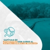 5. CAPITULO DE INVERSIONES CON CARGO AL SGR.pdf